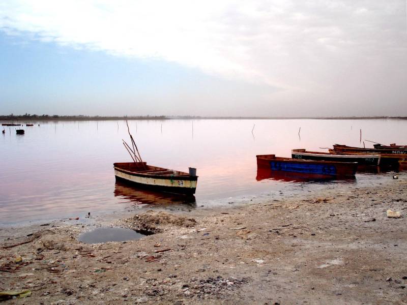Le parc national de Basse Casamance une escapade éco-touristique unique au Sénégal