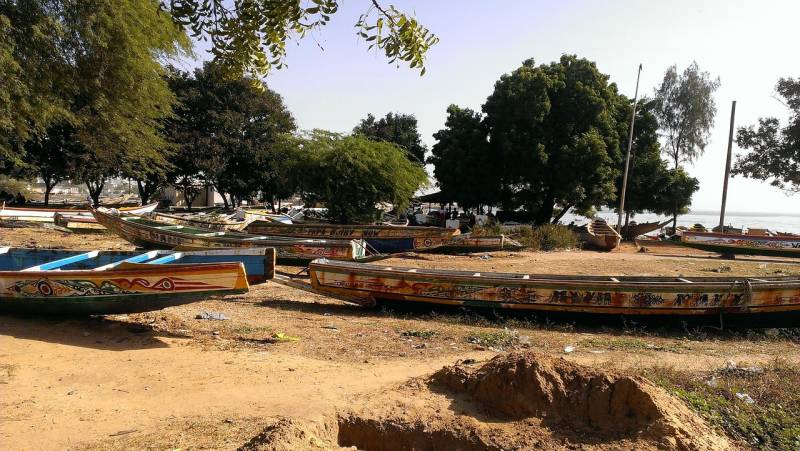 Excursions en pirogue en Casamance : découvrez les bolongs autour de Cap Skirring