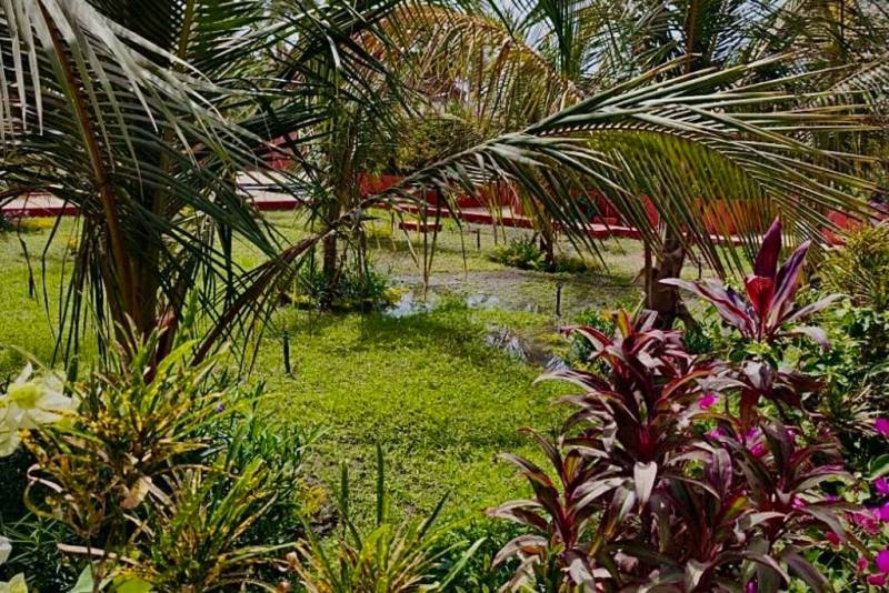 location appartement bungalow à Cap Skirring Sénégal