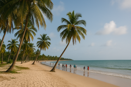 Nos prestations sur le secteur de Cap Skirring au Sénégal