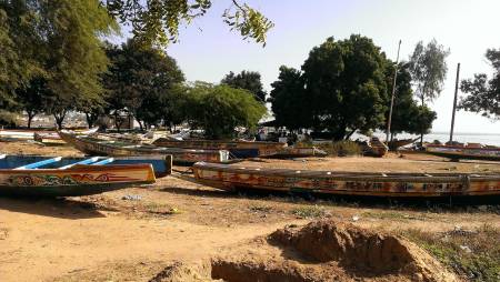 Nos prestations sur le secteur de à Cap Skirring au Sénégal