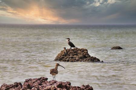Nos prestations sur le secteur de à Cap Skirring au Sénégal